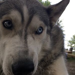 Meet your Posher, Chloe